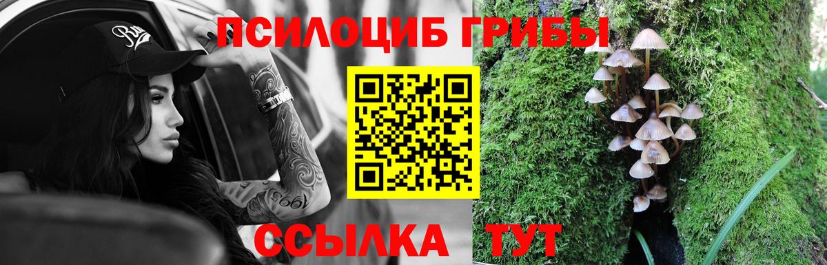 Волгоград  Галлюциногенные грибы Magic Shrooms  Вход с VPN 