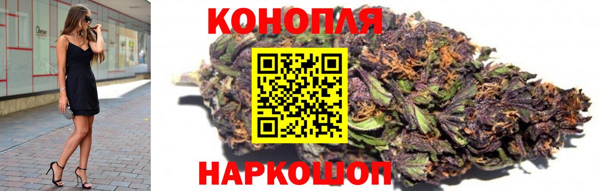 Каннабис SATIVA & INDICA Волгоград